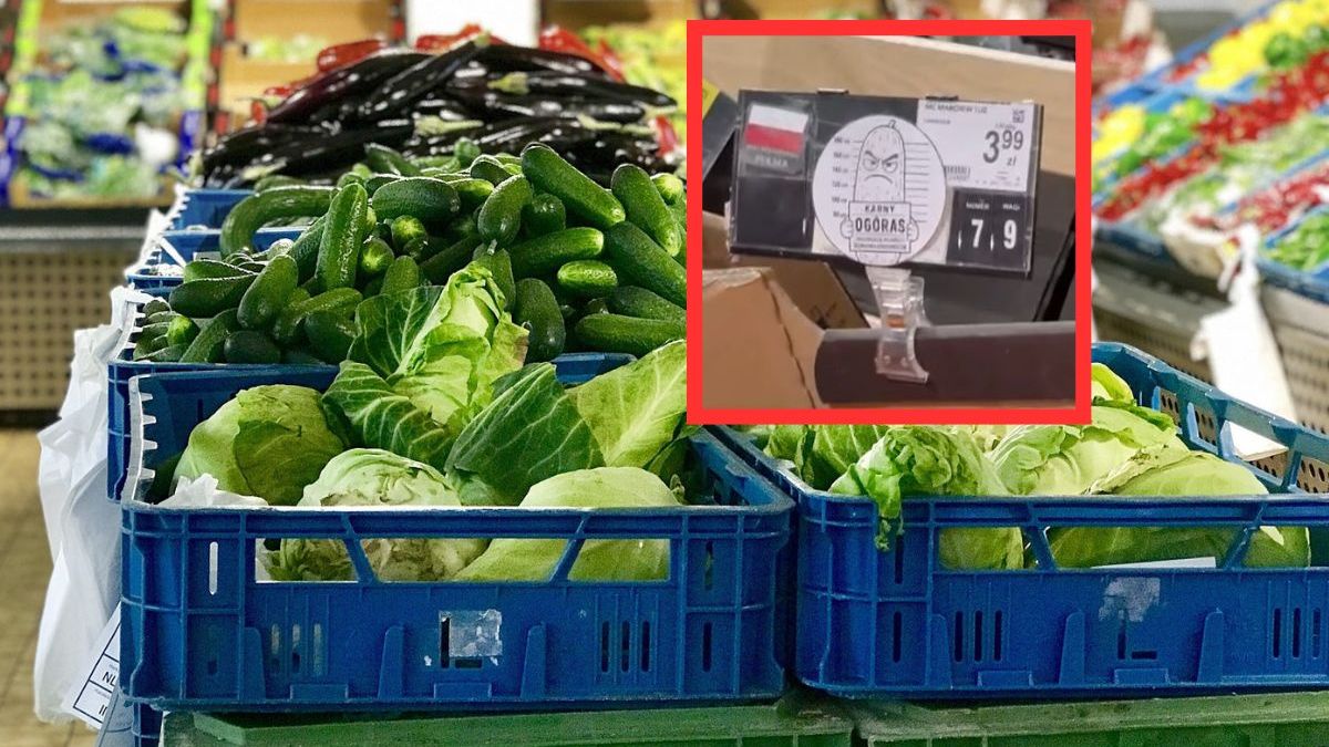 Startuje akcja Karny Ogóras 