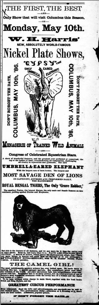 Ella zakończyła karierę w cyrku, ponieważ chciała iść do szkoły