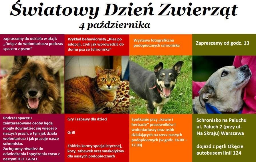 W sobotę Światowy Dzień Zwierząt w schronisku na Paluchu [WIDEO]