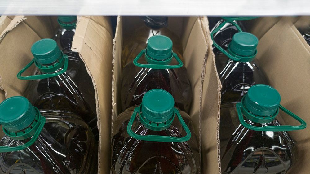 Obniża cholesterol i wspiera układ hormonalny. Ten olej warto mieć w swojej kuchni