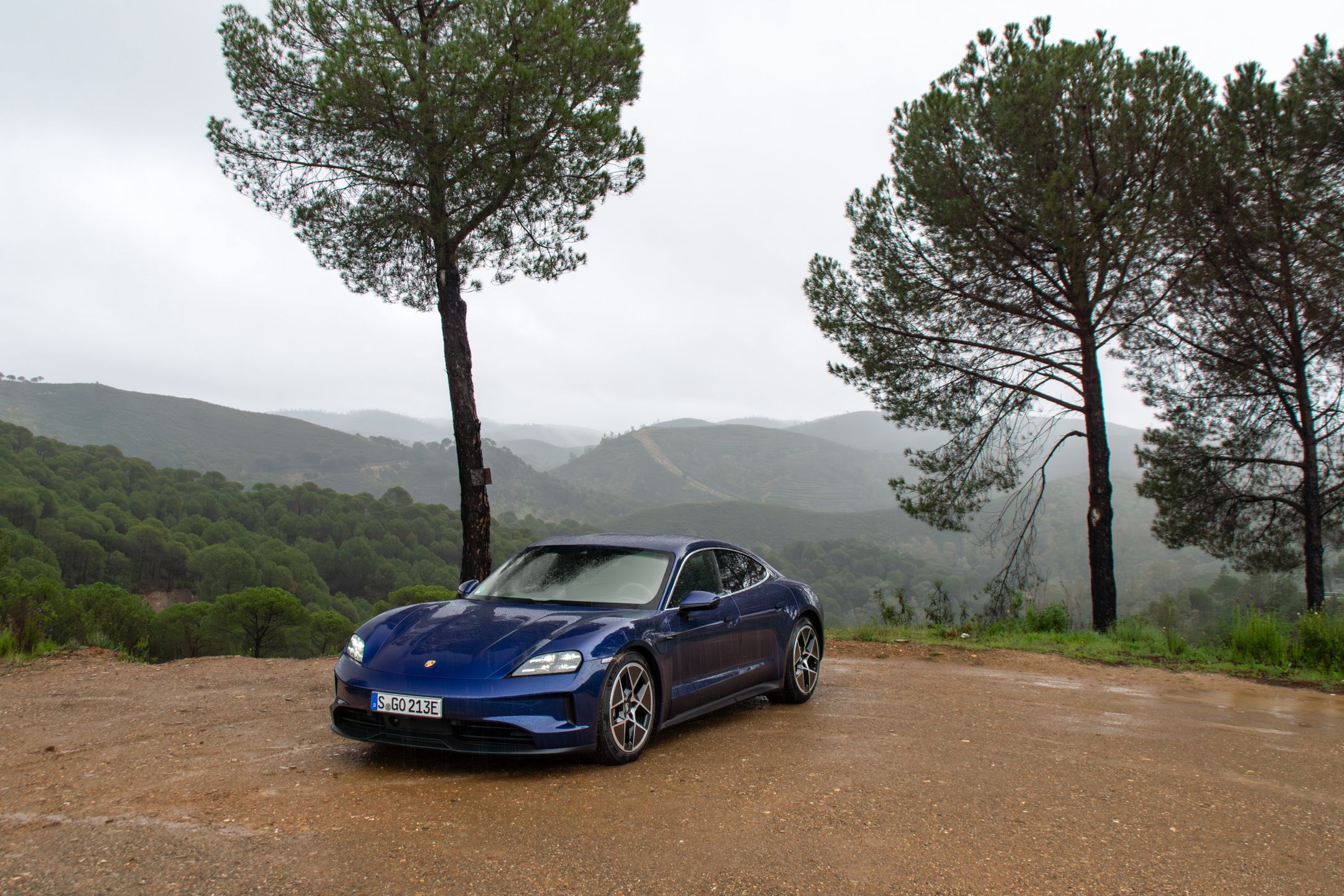 Porsche Taycan FL 2024
