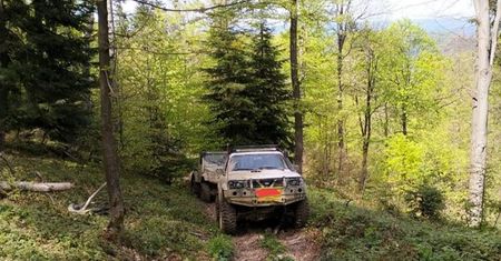 "Nawet komendant się zdziwił". Straż leśna pokazała zdjęcie z Bieszczadów