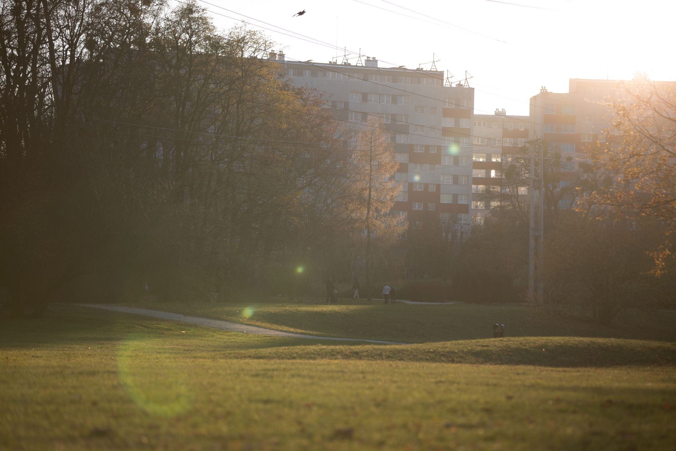 Canon EF 70-200 mm f/2.8L IS III USM - odświeżona wersja świetnego obiektywu [test] 33