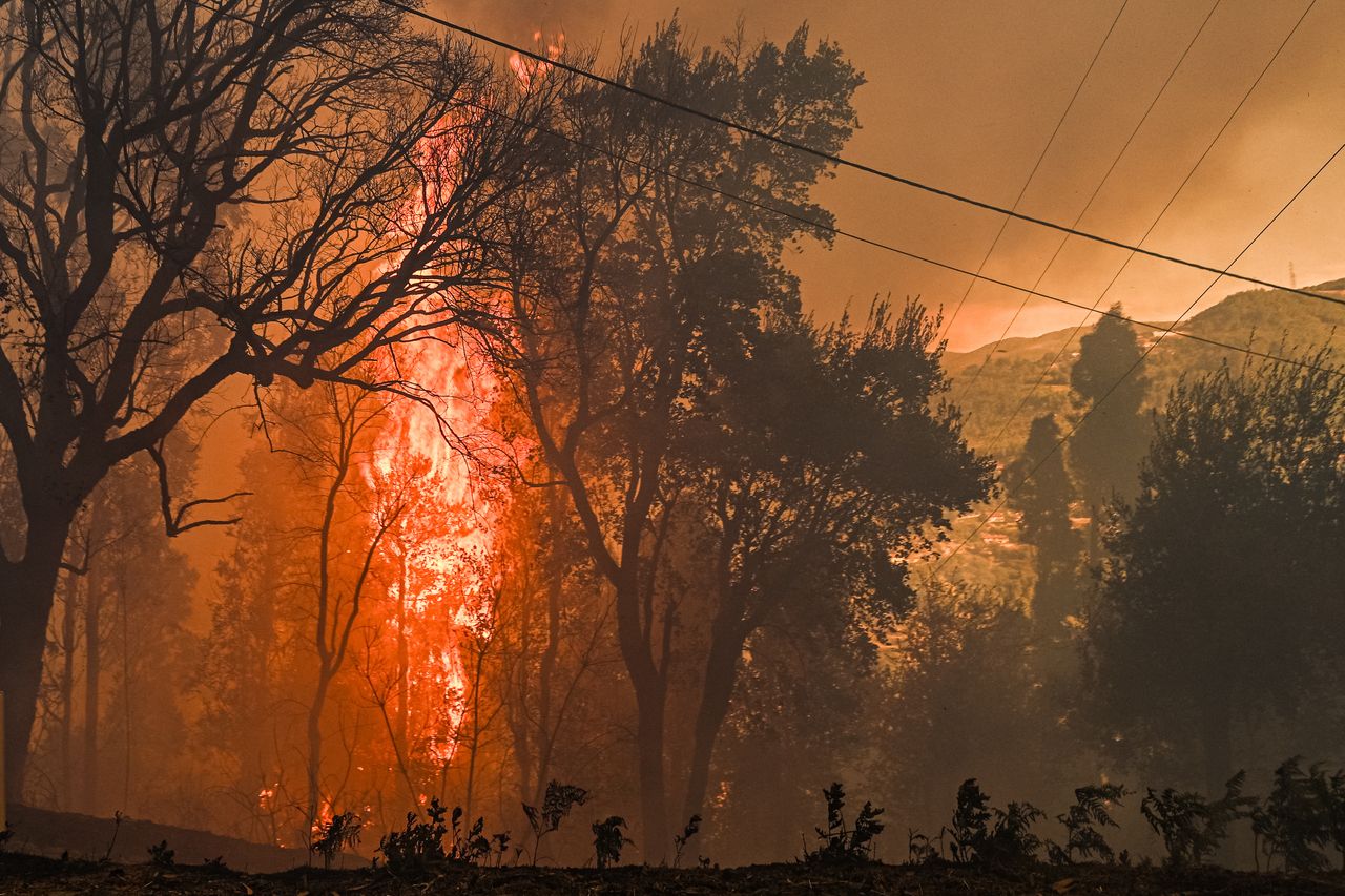 Arson suspected in spate of forest fires in northern Portugal