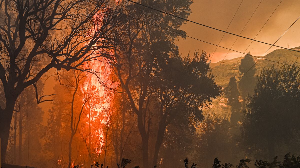 Pożary w Portugalii