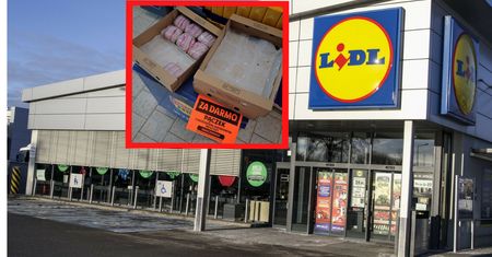 Pączki za darmo w Lidlu? "Do wyczerpania zapasów"