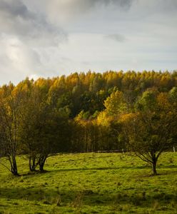Turyści zatykają zielone płuca odpadami. Koszty ponoszą mieszkańcy