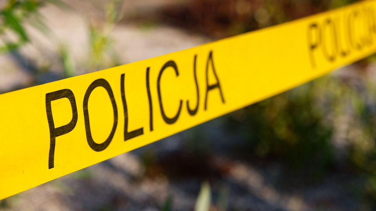 Zdjęcie ilustracyjne 