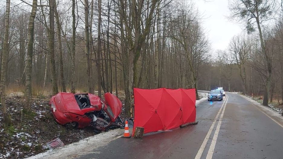 Do wypadku doszło na drodze Młynary-Elbląg. (Fot. KMP w Elblągu)