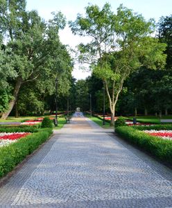 Park Zdrojowy w Świnoujściu. Zielona enklawa na wyspie Uznam