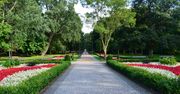 Park Zdrojowy w Świnoujściu. Zielona enklawa na wyspie Uznam