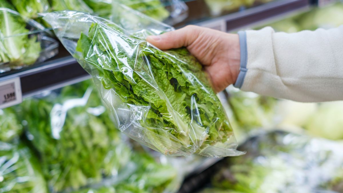 Dlaczego lepiej nie kupować sałaty w plastikowych torebkach?