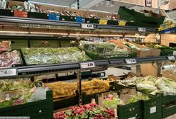 15 gr u rolnika, ponad 2 zł w sklepie. Co się dzieje na rynku warzyw?