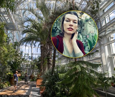 Milla Jovovich w Krakowie. Gwiazda zachwyca się ogrodem botanicznym