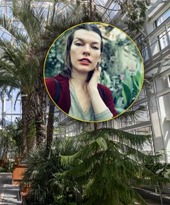 Milla Jovovich w Krakowie. Gwiazda zachwyca się ogrodem botanicznym