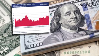 Dolar przestaje być królem walut [OPINIA]
