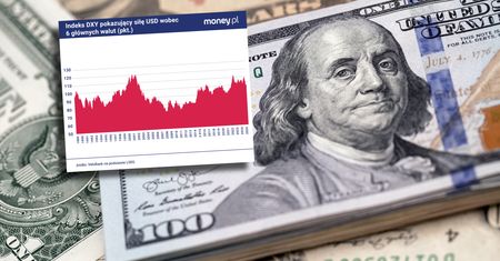 Dolar przestaje być królem walut [OPINIA]