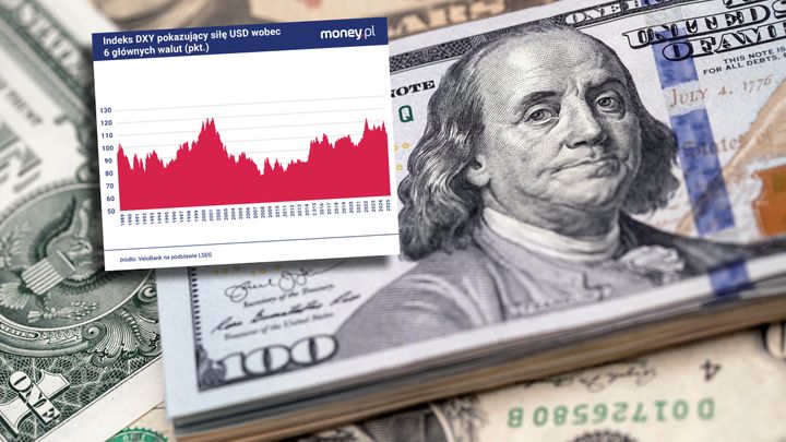 Dolar przestaje być królem walut [OPINIA]