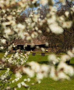 Chorzów. Noc Muzeów. W skansenie zobaczysz diabelskie skrzypce