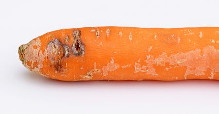 Czy można jeść marchew z czarnymi plamami? Błąd jest bardzo szkodliwy