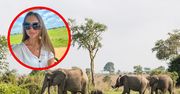Byłam na safari w Tanzanii. Wszyscy czekali na jedno