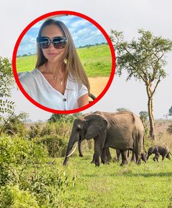 Byłam na safari w Tanzanii. Wszyscy czekali na jedno