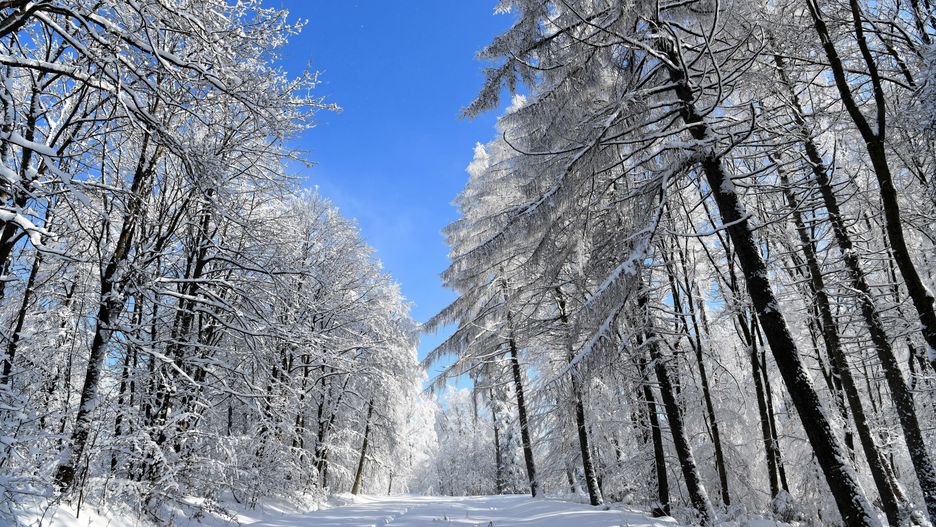 Pogoda. Wrocław. 17 lutego 2021 - odwilż nadciąga. Kilka dni z opadami deszczu