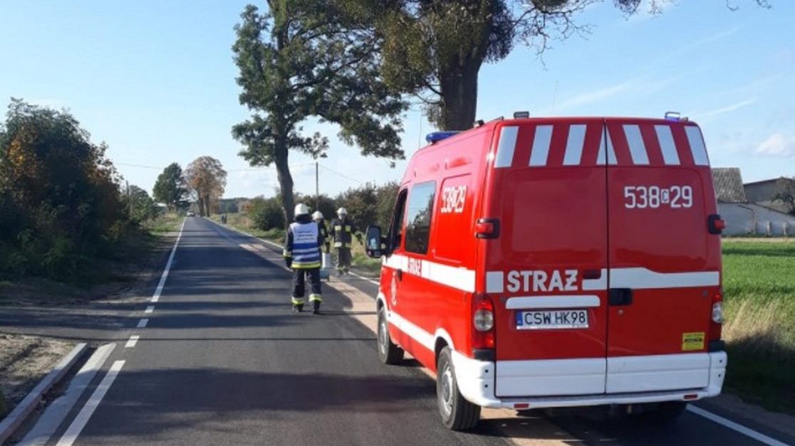 Na miejscu działali ratownicy i straż pożarna i 