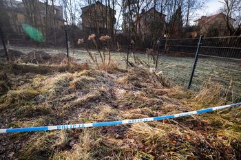 Zabójstwo w Jeleniej Górze. Zakończono wysłuchiwanie 12-latki