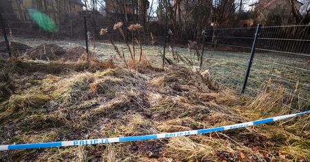 Zabójstwo w Jeleniej Górze. Zakończono wysłuchiwanie 12-latki