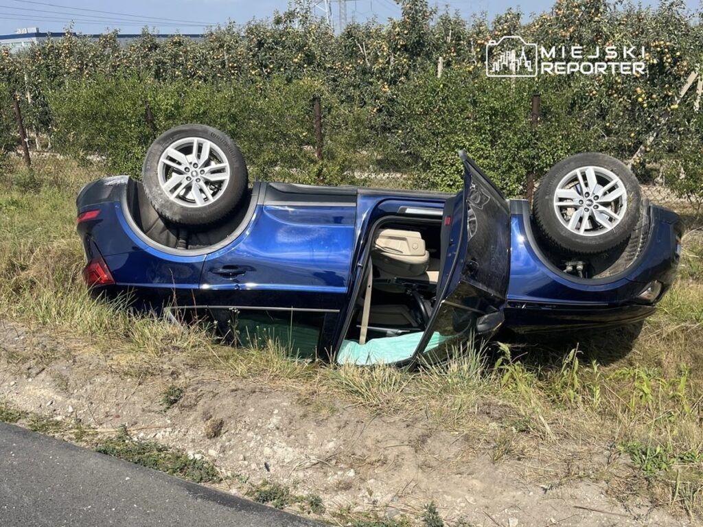 Niebieski samochód osobowy leży na dachu w rowie, otoczony trawą i drzewami owocowymi.