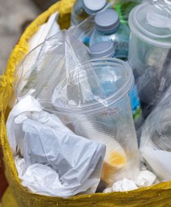 Turyści podrzucają śmieci. Zakopane płaci za to fortunę