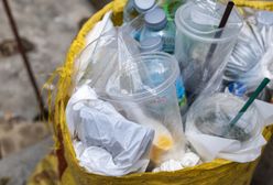 Turyści podrzucają śmieci. Zakopane płaci za to fortunę