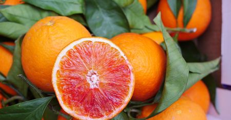 Czerwone pomarańcze – naturalny zastrzyk witaminy C