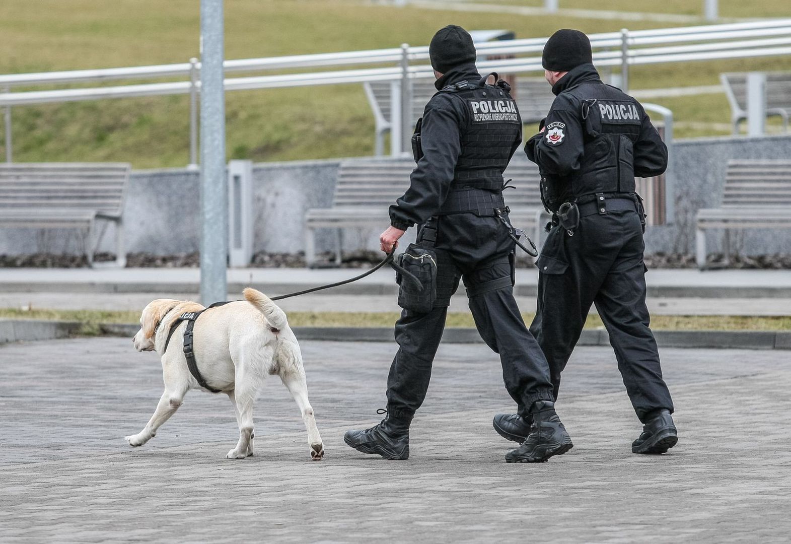 Komendant policji w Sępólnie zwraca się do samorządu. Chodzi o zakup psa