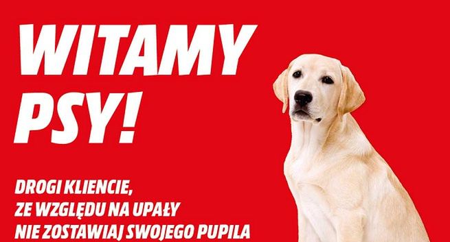 Do sklepów MediaMarkt można wejść z psem