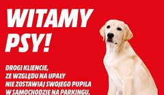 Do sklepów MediaMarkt można wejść z psem