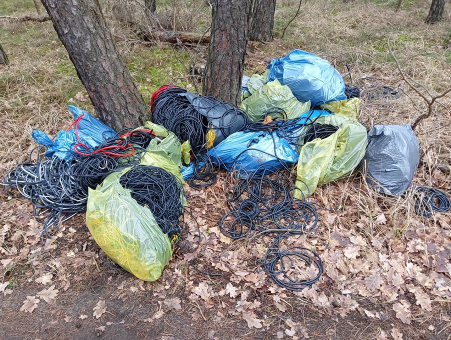 Leśnicy pokazali zdjęcie. Trudno uwierzyć, co jest w tych workach