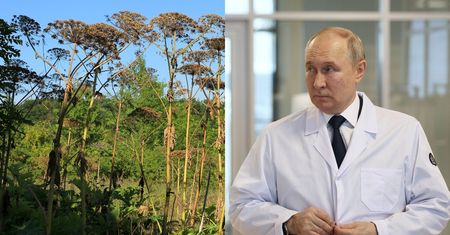 "Zemsta Stalina" dosięga Putina? Rosja ma nie lada problem