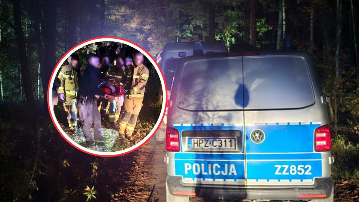 Nocne poszukiwania grzybiarza