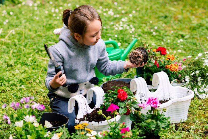 Wspólne sadzenie roślin odstraszających kleszcze może być bardzo dobrą zabawą