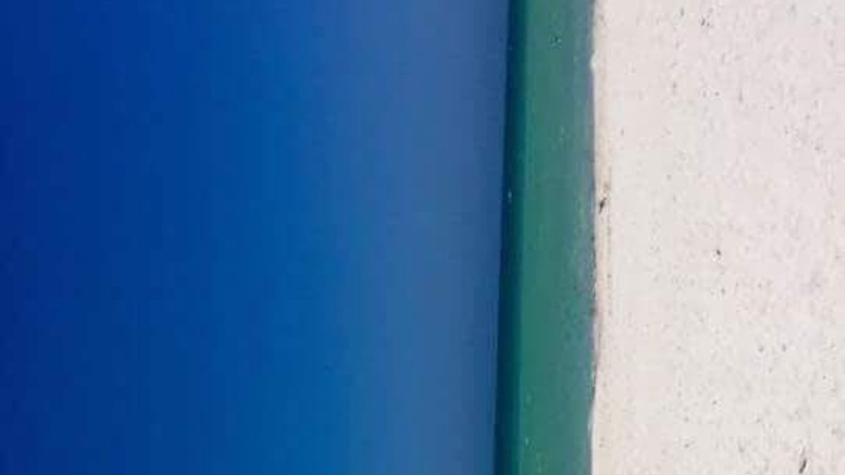 Zagadka, która podzieliła internautów. "Co widzisz na zdjęciu?" 