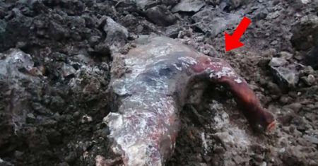 Odkrycie zszokowało naukowców. "Bestia z epoki lodowcowej"