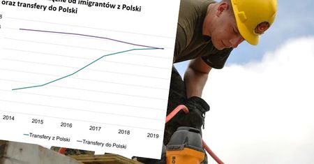 Praca w Polsce. Przeanalizowali rynek pod kątem cudzoziemców