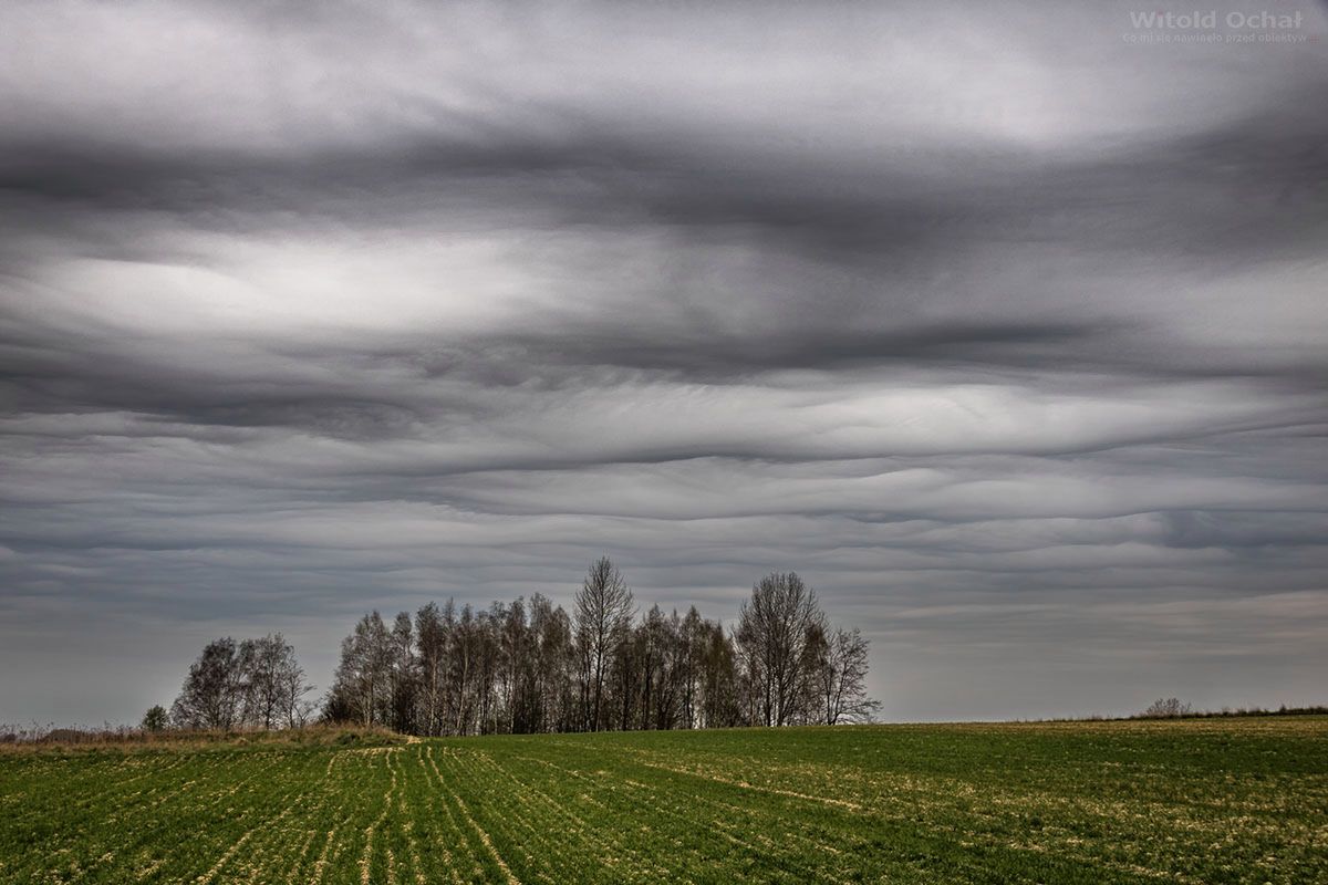 Witold Ochał sfotografował w Polsce nowy gatunek chmur - Asperitas 3