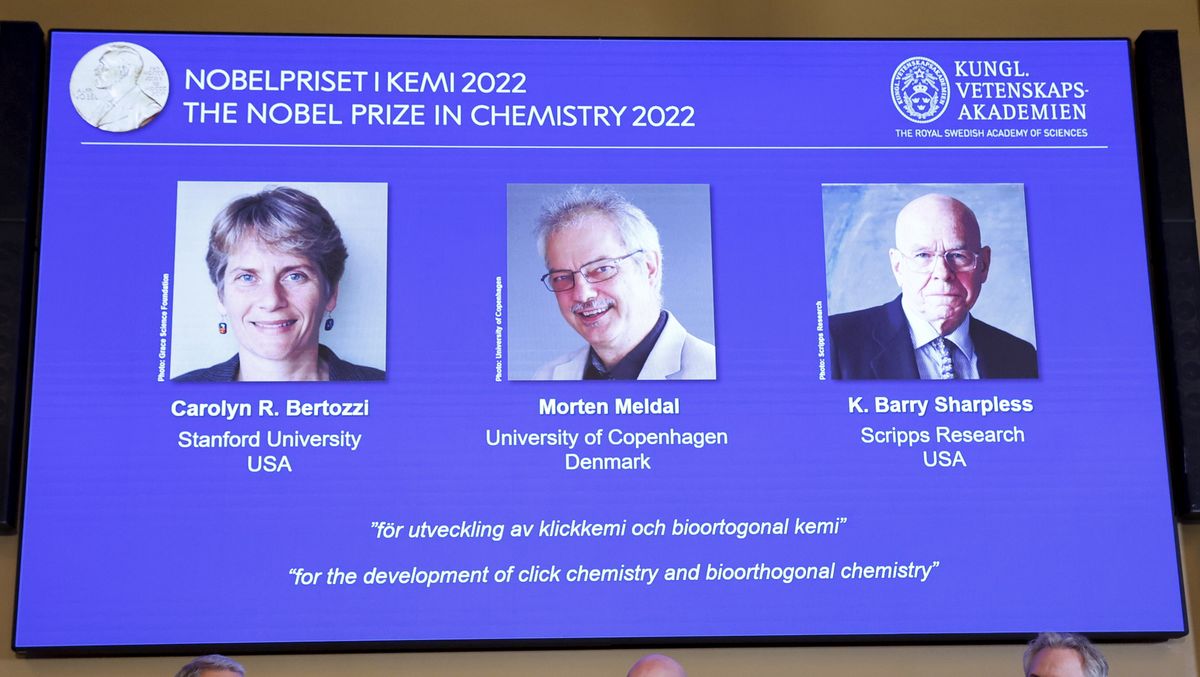 Laureaci Nagrody Nobla z chemii: Barry Sharpless, Morten Meldal, Carolyn Bertozzi