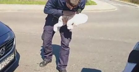 Policjanci uratowali niemowlę. "Było sine, nie oddychało"