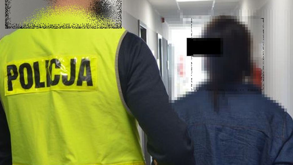 Fot. Licencjodawca
