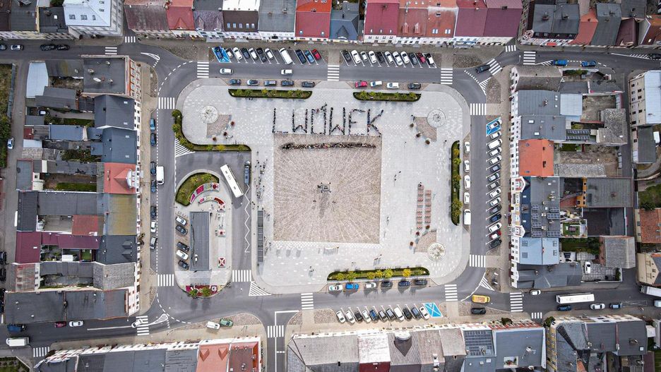 Lwówek
