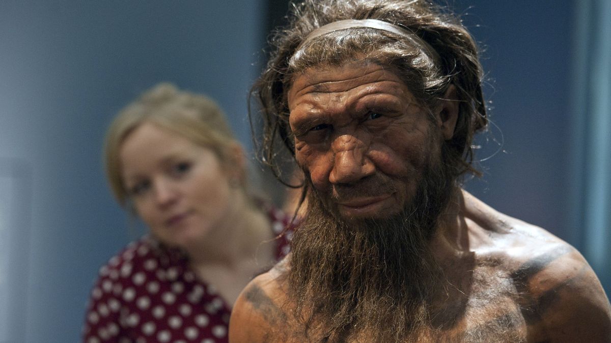 Model Neandertalczyka — zdjęcie ilustracyjne
